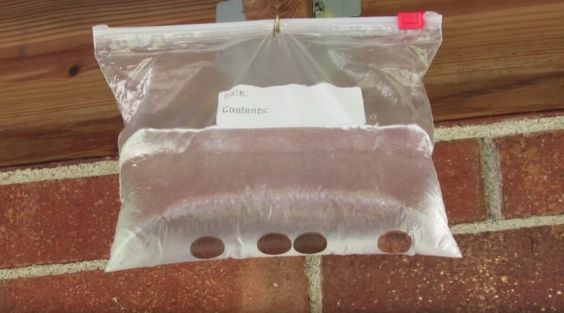Plastic Water Bags with Pennies